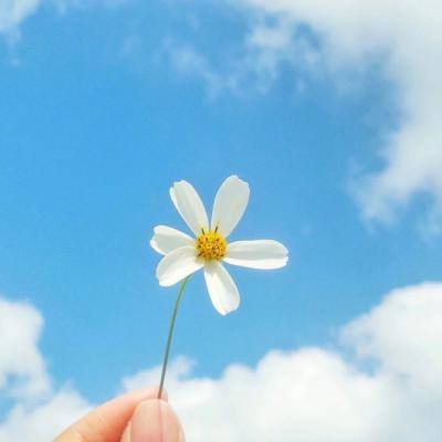 kaiyun体育全站下载手机版