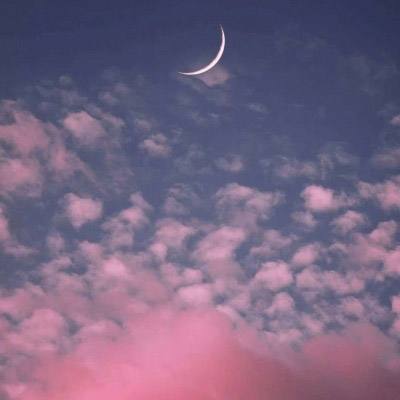 1788网投手机app下载