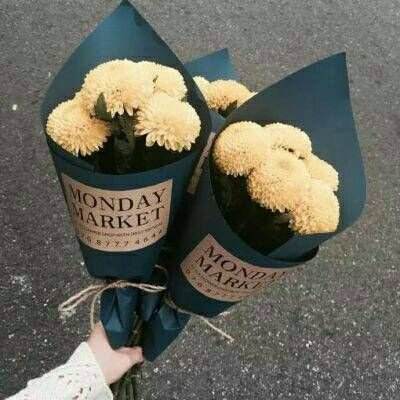 竞彩足球app官方