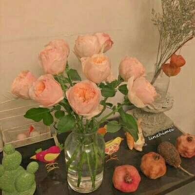 kaiyun体育全站下载手机版