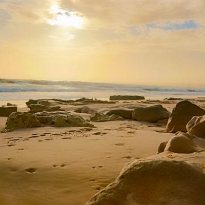 ROR体育官网登录入口app下载