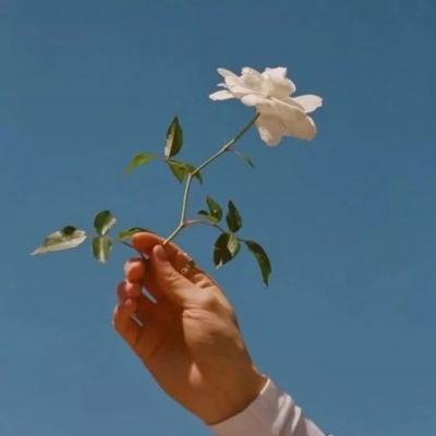 风云体育官方APP