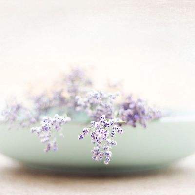 168极速赛车全天计划单期