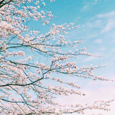 manbetx万博官网网页版