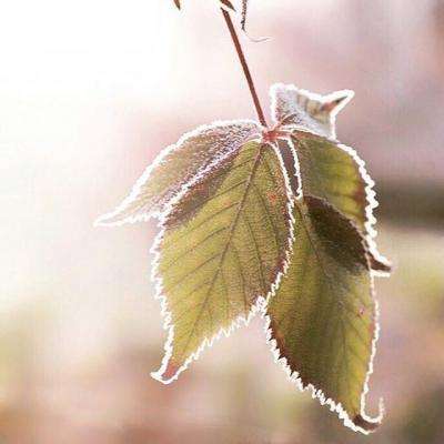 金沙8888js官方截图